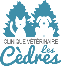 Le logo de la clinique vétérinaire les cèdres représenté par un chat et un chien ce tenant assis l'un à côté de l'autre de couleur blanc devant un sapin de couleur fushia